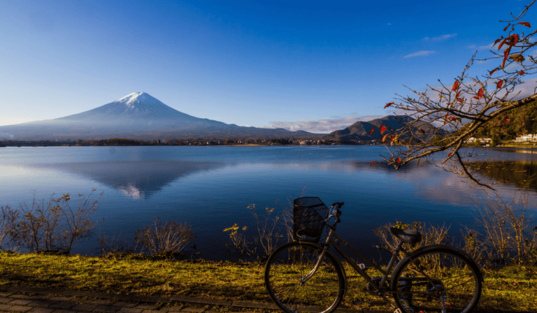 Exploring Biking Tours: A Guide to Two-Wheeled Adventures